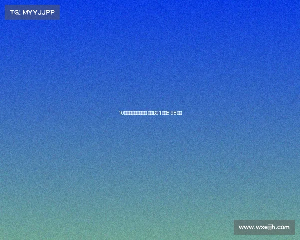 10万级纯电家轿新选择 零跑B01售价8.98万起