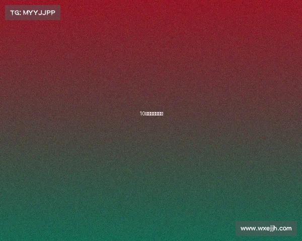 10年志俊手动精品