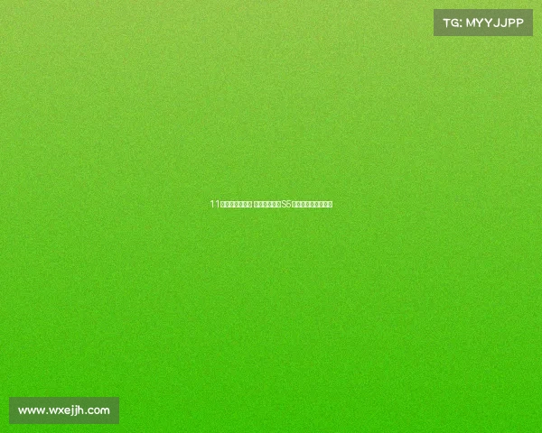 11万级纯电新选择 极狐新阿尔法S5靠什么打动消费者？